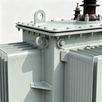 Transformateur triphasé personnalisable S22-4000/35 à double enroulement immergé dans l'huile, haute efficacité, sortie 10,5 kV 6,3 kV 0,4 kV