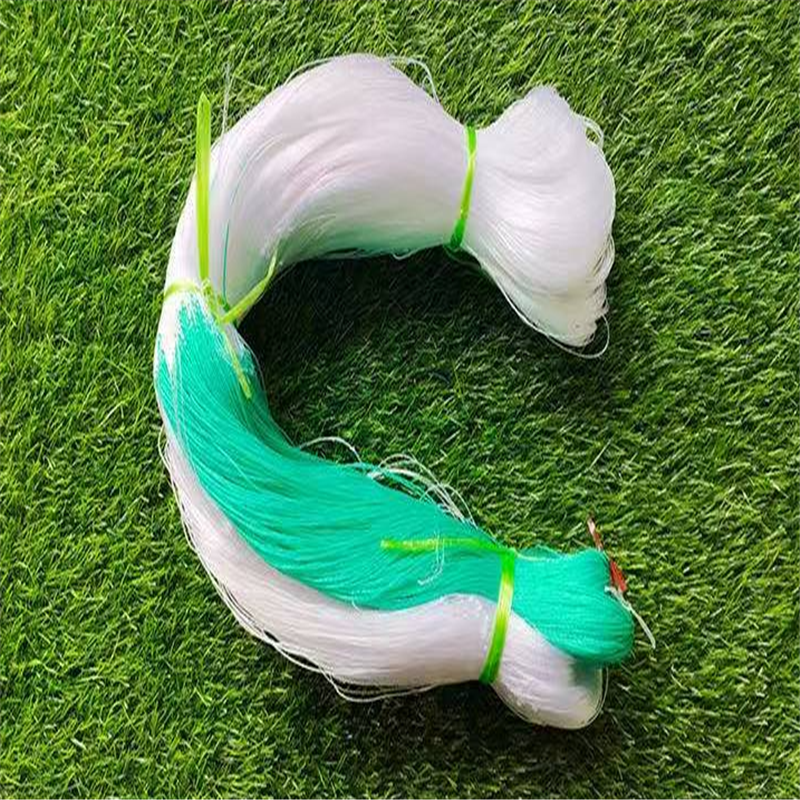 white with green borders