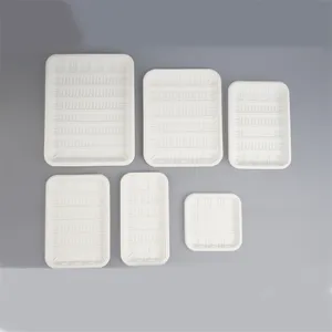 Recyclable Meat Fruit Plate Food Container Corn Starch Plate Biodegradable Small Box