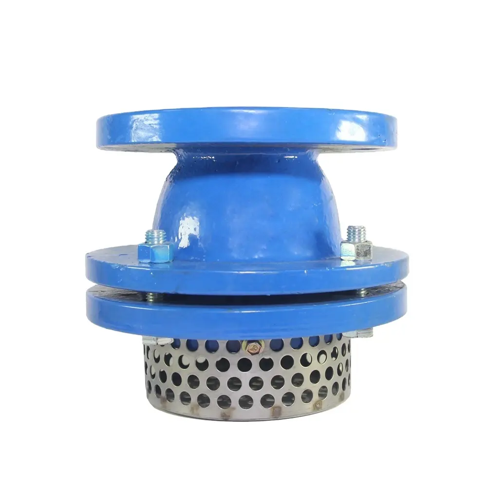 Ductile iron water pump flanged Foot Valve with strainer