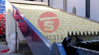 Automatische grote fruitdrooglijn met PLC-gestuurde gaasband en hetelucht droogmachine voor voedselverwerking