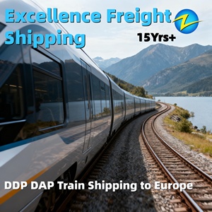 Envío Rápido Programado DDP de Guangzhou, Shenzhen, Dongguan a <span class=keywords><strong>Clermont</strong></span>-Ferrand, Montpellier, Transporte Ferroviario FBA, Transporte por Carretera a Domicilio - Product Image 3
