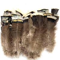 Plumes de dinde de couleur naturelle, plumes de couette d'aile de dinde pour l'artisanat, bijoux de carnaval, accessoires d'artisanat