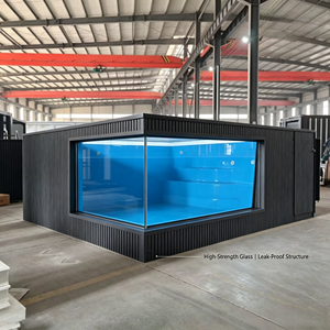 Composite Surround Bespoke Villa Prefabricate Modular System Clad Deck Commercial Engineer Solution Premium Container Swim Pool - Product Image 5