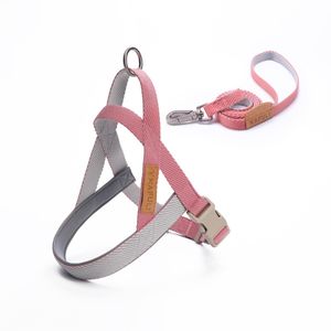 Rompi hewan peliharaan, <span class=keywords><strong>Harness</strong></span> anjing sedang besar, pengambil emas tali Jalan - Product Image 6