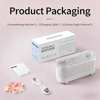 Diffuseur d'aromathérapie WMK, vente en gros d'usine OEM, 120 ml, humidificateur intelligent à brume froide USB, diffuseur d'arômes à flamme avec CE ROHS FCC