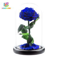 Hot verkopende Valentijnsdag/Moederdag cadeaus: geconserveerde roos in acryl cadeaudoos voor thuis/bruiloft decoratie bloem