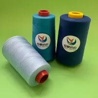 Fil à coudre en polyester 100% de haute qualité, 60/3, haute ténacité, faible rétrécissement, TFO lubrifié pour la couture et la broderie de vêtements
