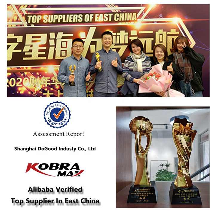 19168818 19168819 19177929 Auto Spare Parts Shock Absorber For  