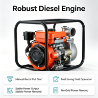 Pompe à eau diesel manuelle de 3 pouces avec démarreur à rappel, haute pression, fiable, portable, pour l'irrigation agricole