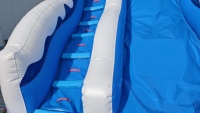 DFRL Piscina de Bolas con Tobogán, Castillo Inflable Comercial, Alquiler de Equipos para Fiestas, Garantía de 3 Años, Personalizable
