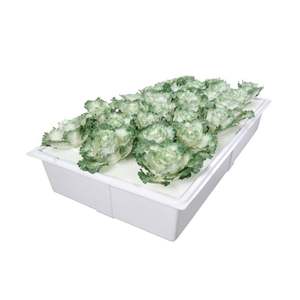 Venta directa de bandejas microverdes hidropónicas planas moldeadas por termoformado de plástico de fábrica para el crecimiento de forraje para jardines hidropónicos - Product Image 6