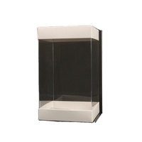 Boîte transparente de stockage de poupée PVC cadeau boîte Étoiles Delu poupée violence ours super Affichage boîte En Plastique