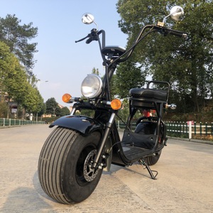 Yongkang Factory Price Best Seller Scooter Citycoco/seev/woqu/scooter - Product Image 1