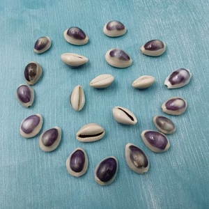 Conchas de Cauri Doradas con Ojos Púrpuras o Azules o Conchas de Caracol Manzana para Decoración del Hogar, Acuarios y Playas - Belleza Exótica - Product Image 3