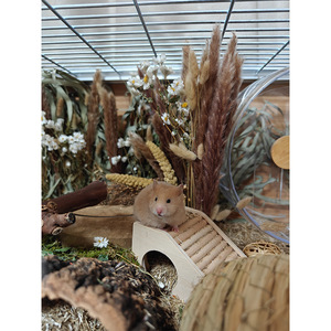 Aluminum Profile Hamster Cage Rectangle Secure Transparent Pet Enclosure Multipurpose Floral Design - Product Image 2