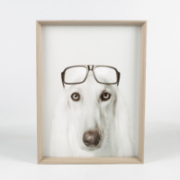 Usine directe Sofine mur Art impression moderne Animal chien chat peinture nordique enfant chambre décoration photos