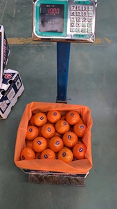 Nueva cosecha Fresh Naval <span class=keywords><strong>Orange</strong></span> Sweet Fruit <span class=keywords><strong>Orange</strong></span> Fresh Mandarin <span class=keywords><strong>Orange</strong></span> - Product Image 5