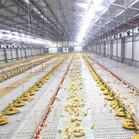 Nouveau système de relèvement de sol pour poulets de chair PP à bas prix bâtiment poulailler avec équipement de volaille Roxell pour poulet