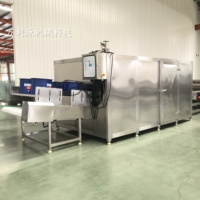 Op maat gemaakte stoomverwarmde fruitdroogmachine, commerciële kersen- en bessendroogapparatuur voor fruitverwerkingsbedrijven