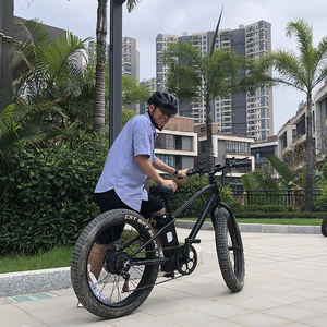 จักรยานไฟฟ้าสำหรับคนญี่ปุ่นขนาด24กม./ชม. 350W ระยะไกล - Product Image 3