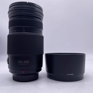 Objectif Panasonic Lumix G Vario 100-300mm f/4-5.6 II POWER O.I.S. Objectif (HFSA100300E) - Product Image 1