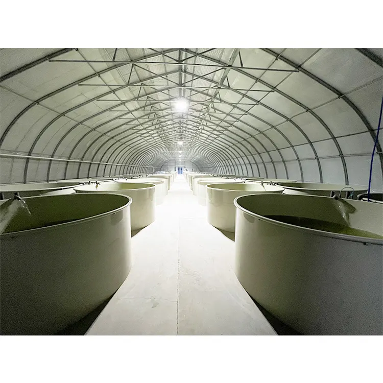 Custom Diameter 3m to 30m Circular Aquaculture Tanks For Shrimp Fish Farming Pond RAS Biofloc Fish Tank Container