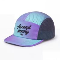 Casquette Trucker Personnalisée avec Logo 3D en PVC, Imperméable, Performance Extérieure, Dos en Maille – Fabricant