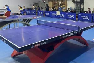 Déflecteur <span class=keywords><strong>de</strong></span> haute qualité <span class=keywords><strong>de</strong></span> bordure <span class=keywords><strong>de</strong></span> <span class=keywords><strong>tennis</strong></span> <span class=keywords><strong>de</strong></span> <span class=keywords><strong>table</strong></span> portable avec logo personnalisé pour les joueurs <span class=keywords><strong>de</strong></span> <span class=keywords><strong>tennis</strong></span> <span class=keywords><strong>de</strong></span> <span class=keywords><strong>table</strong></span> - Product Image 4