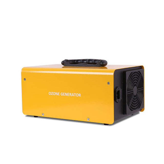 Commercial PLC Controlled Air Purifier Ionizer Ozone Generator 1 Year Warranty Portable for Car Home Use 10G/Hr Productivity