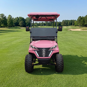 Voiturette de golf rose à 4 places, homologuée pour la route, entretien facile, pour les parcs, les attractions touristiques, les terrains de golf, les centres d'exposition - Product Image 3