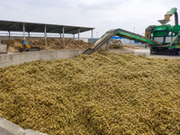Séparateur magnétique et machine de criblage pour les déchets agricoles, équipement composant d'une usine de recyclage de biomasse