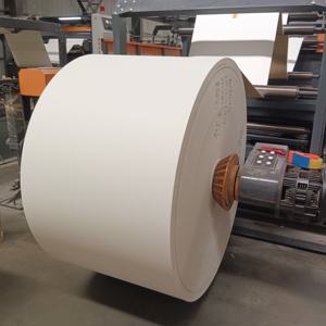 Rollo de Papel Recubierto de PE de Pared Simple, Grado Alimenticio, para Vasos de Papel, Precio de Fábrica en China, Entrega Rápida - Product Image 6