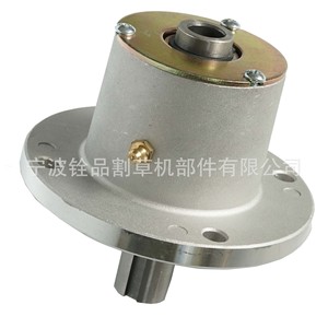 Conjunto de Eje para Cortacésped 36006N BAA0042 A10044 para Cortacéspedes Jacobsen - Product Image 1