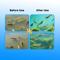 Probiotiques EM pour l'alimentation des poissons, additifs alimentaires pour animaux, probiotiques pour stabiliser la qualité de l'eau, suppléments nutritionnels
