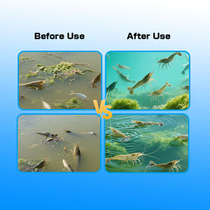 EMプロバイオティクス魚飼料添加物動物プロバイオティクス安定化水質サプリメント栄養素 - Product Image 6