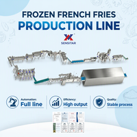 Ligne de production de frites surgelées anti-brunissement 9T/H, équipement automatique de fabrication de frites pour une qualité de produit finale stable