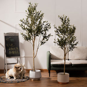 Indoor Olive <strong>Tree</strong> Plants <strong>Best</strong> Selling Indoor <strong>Decoration</strong> Silk Plant <strong>Artificial</strong> Olive <strong>Tree</strong> for Sale - Product Image 5