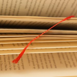 Libro Impreso de Alta Calidad, el Más Popular, Tapa Dura con Encuadernación Cosida, Laminación de Película, Grabado/Grabado en Relieve Personalizado - Product Image 3