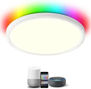 Thuis Slaapkamer Ronde Lamp Led Plafondlamp 15 Inch Rgb Slimme Led Plafondlampen