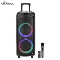 Enceinte de fête professionnelle en gros avec machine karaoké, batterie rechargeable 60W 11.1V, microphone sans fil BT5.0 et télécommande