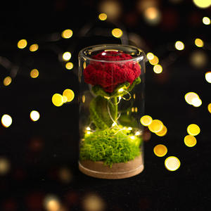 Bouquet tricoté à la main d'oeillet rose avec lampe et couverture transparente fleur éternelle Crochet oeillet en <span class=keywords><strong>pot</strong></span> décors de maison romantiques - Product Image 6