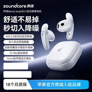 Soundcore Liberty Buds Semi-In-Ear True Wireless Earphones With Type-C Charging And IPX4 Waterproof For Daily Use - Product Image 3