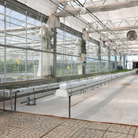 Serre agricole hydroponique multi-chapelles économique Sinok, système complet pour concombres, structure galvanisée à chaud