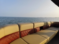 Bateau ponton en aluminium à double pont, pont spacieux, yacht écologique, design à deux niveaux, zone barbecue pour le tourisme et la pêche