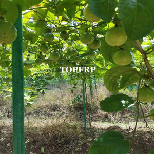 High Strength FRP Pultruded Profile Fiberglass Round Tube <b>for</b> Greenhouse Garden <b>Stake</b> Plant Support <b>Tree</b> <b>Stake</b> - Product Image 5