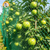 Filet anti-oiseaux pour vignoble et jardin, en HDPE, résistant aux UV, pour la protection des vignes et des cultures agricoles