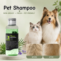 OEM/ODM et disponible pour les distributeurs – Shampoing professionnel de toilettage quotidien pour animaux de compagnie, dégraissant et nettoyant les saletés, pour chiens et chats