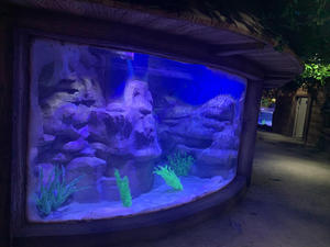 Grote Tank Vis <span class=keywords><strong>Aquarium</strong></span> Grote Kunstmatige Koraal Acryl <span class=keywords><strong>Aquarium</strong></span> Plastic Watertank Aquaria & Accessoires 5l 10 Jaar - Product Image 4