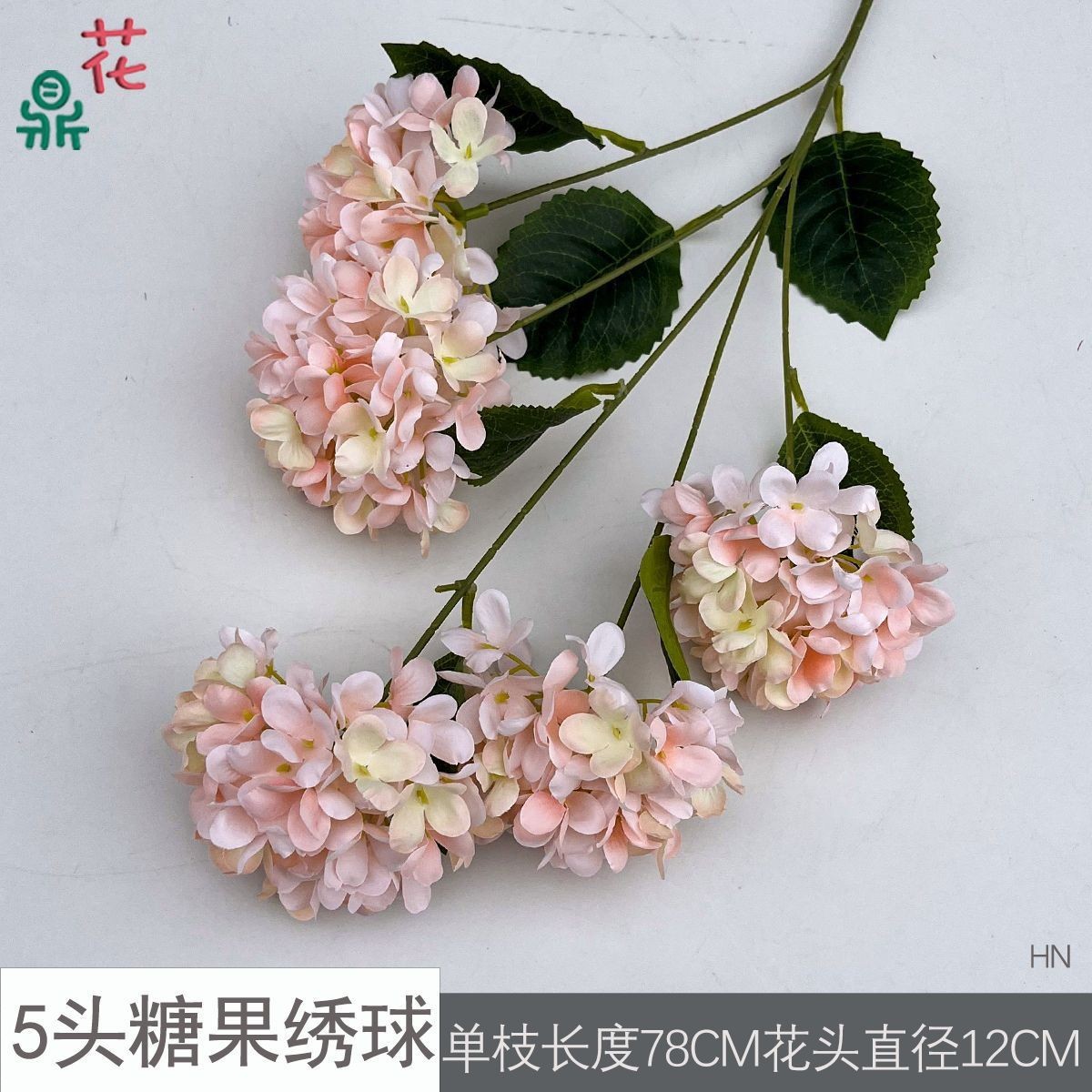 แคนดี้ไฮเดรนเยีย 5 หัว สีชมพูแชมเปญ ไม่มีใบ